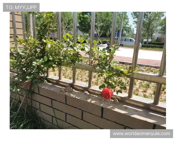 开云真人登录助力新用户快速注册享受丰富多彩的线上娱乐内容